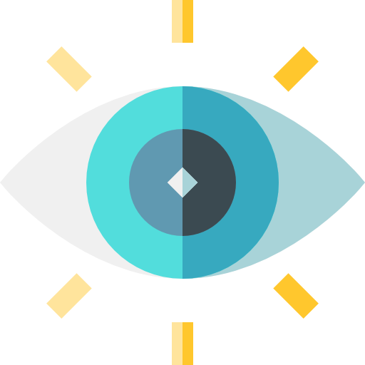 Vision